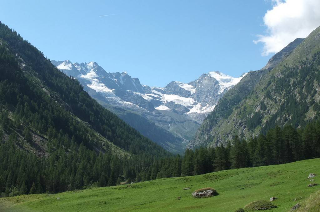 Short Hike in Gran Paradiso - Trekking Alps